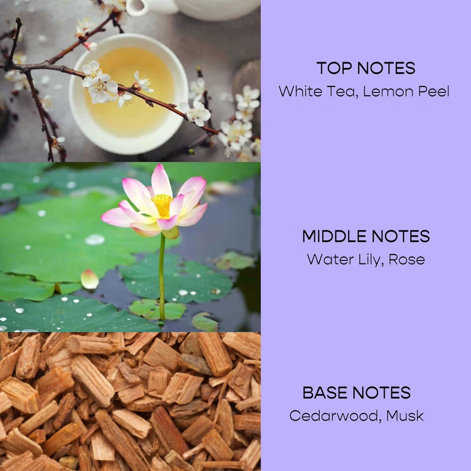 Herlum Copa Dew All-Over Nourishing Oil 15ml